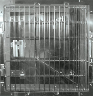 Porta per ossigenoterapia veterinaria in policarbonato e acciaio inox AISI 304 per porte degenza H 750 mm