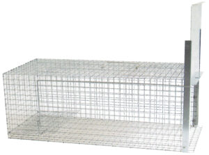 Galvanized Steel Cat Cage 1 Door | Lory