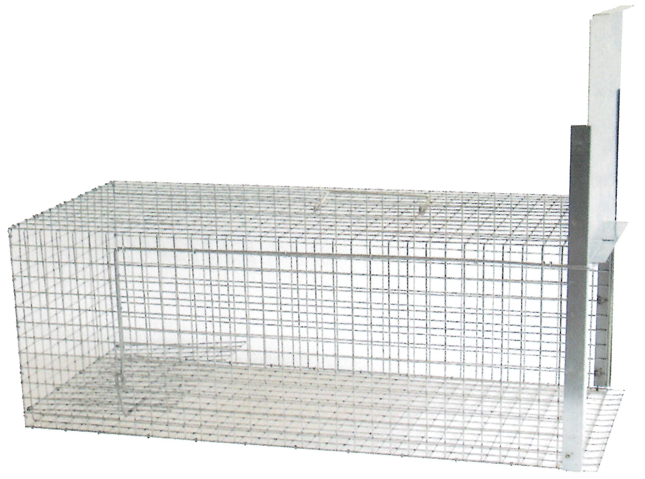 Gabbia Cattura Gatti Acciaio Zincato 1 Sportello | Lory