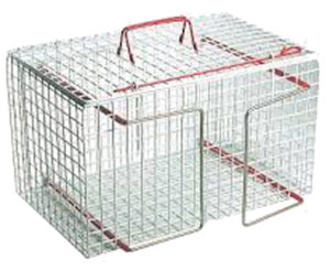 Double Opening Cat Restraint Cage in Plasticized Steel