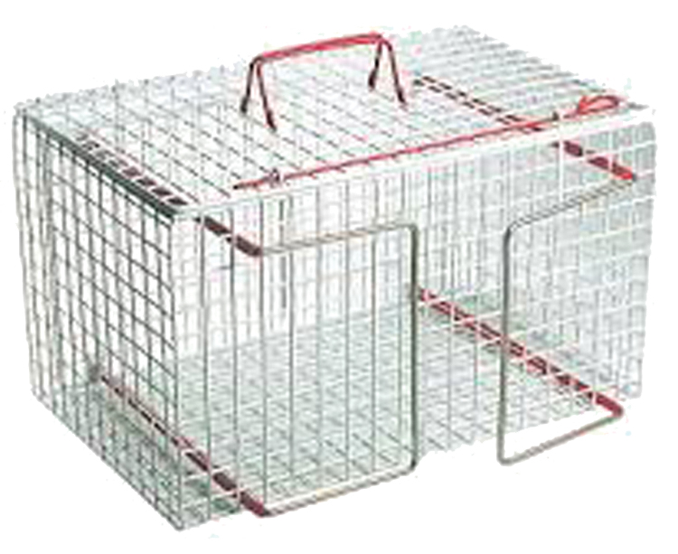 Double Opening Cat Restraint Cage in Plasticized Steel