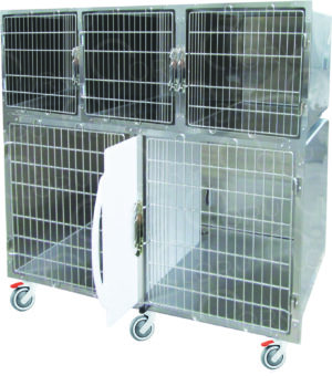 Gabbia Degenza Veterinaria Standard 5 Posti | Lory Progetti Veterinari