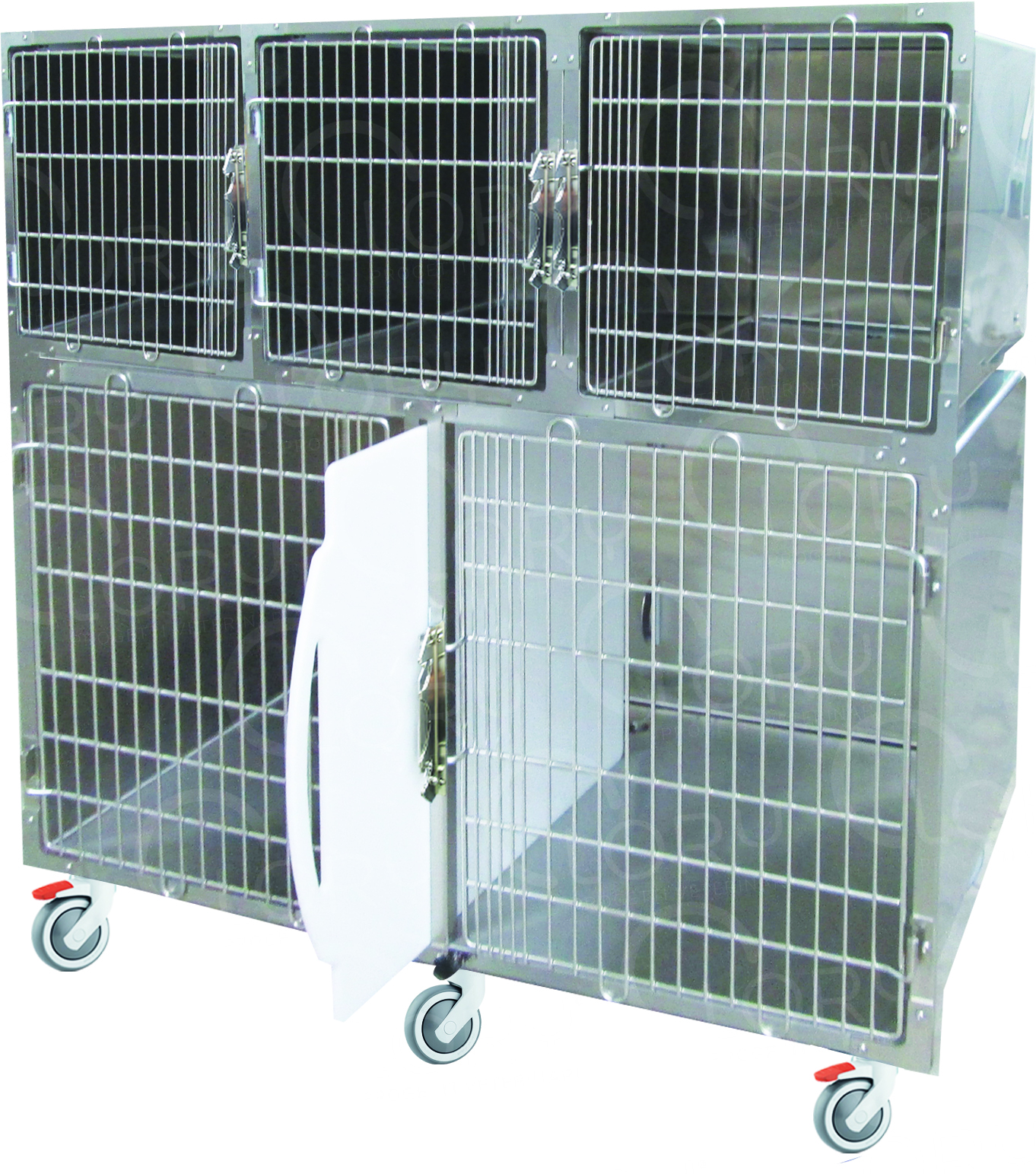Gabbia Degenza Veterinaria Standard 5 Posti | Lory Progetti Veterinari
