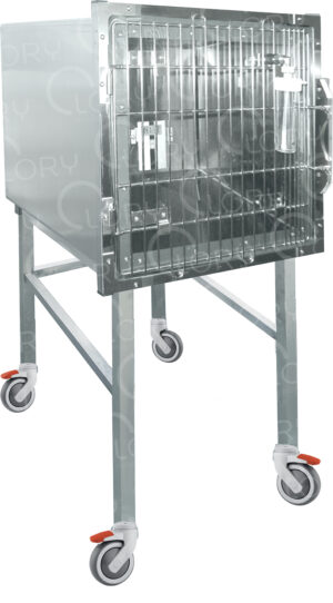 Veterinary Inpatient Cage 1 Place with Oxygen Therapy Lory Veterinary Projects