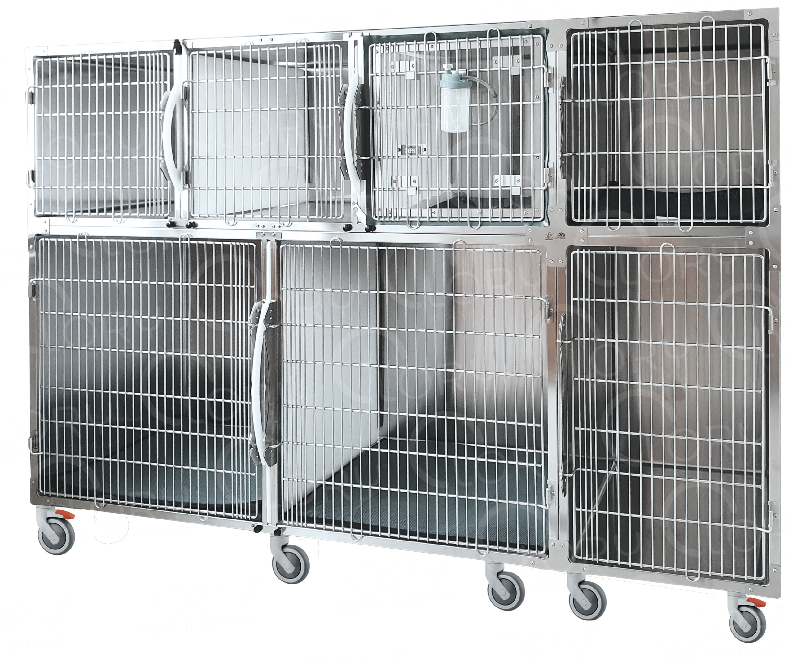 Gabbia Degenza Veterinaria 7 Posti | Acciaio Inox | Lory Progetti Veterinari