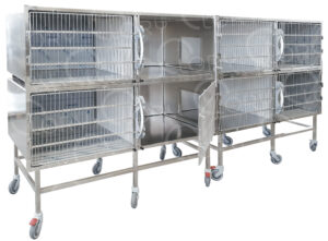 Cage Degenza Cats Special Length | Lory Veterinary Projects