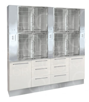 Veterinary Inpatient Cage 8 Places on Mobile | Lory Veterinary Projects