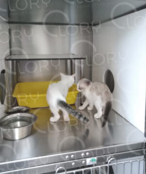 Trespolo per Gatti Veterinario in Acciaio Inox | Lory Progetti Veterinari