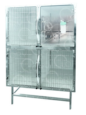 Gabbia Veterinaria PVC 4 Posti con Ossigenoterapia | Lory Progetti Veterinari