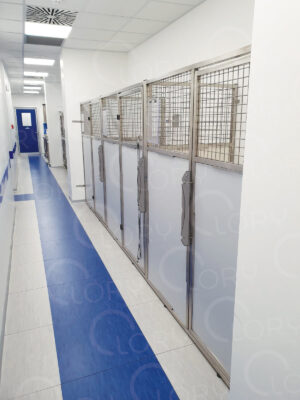Box Degenza Veterinario Acciaio Inox AISI 304 | Lory Progetti Veterinari