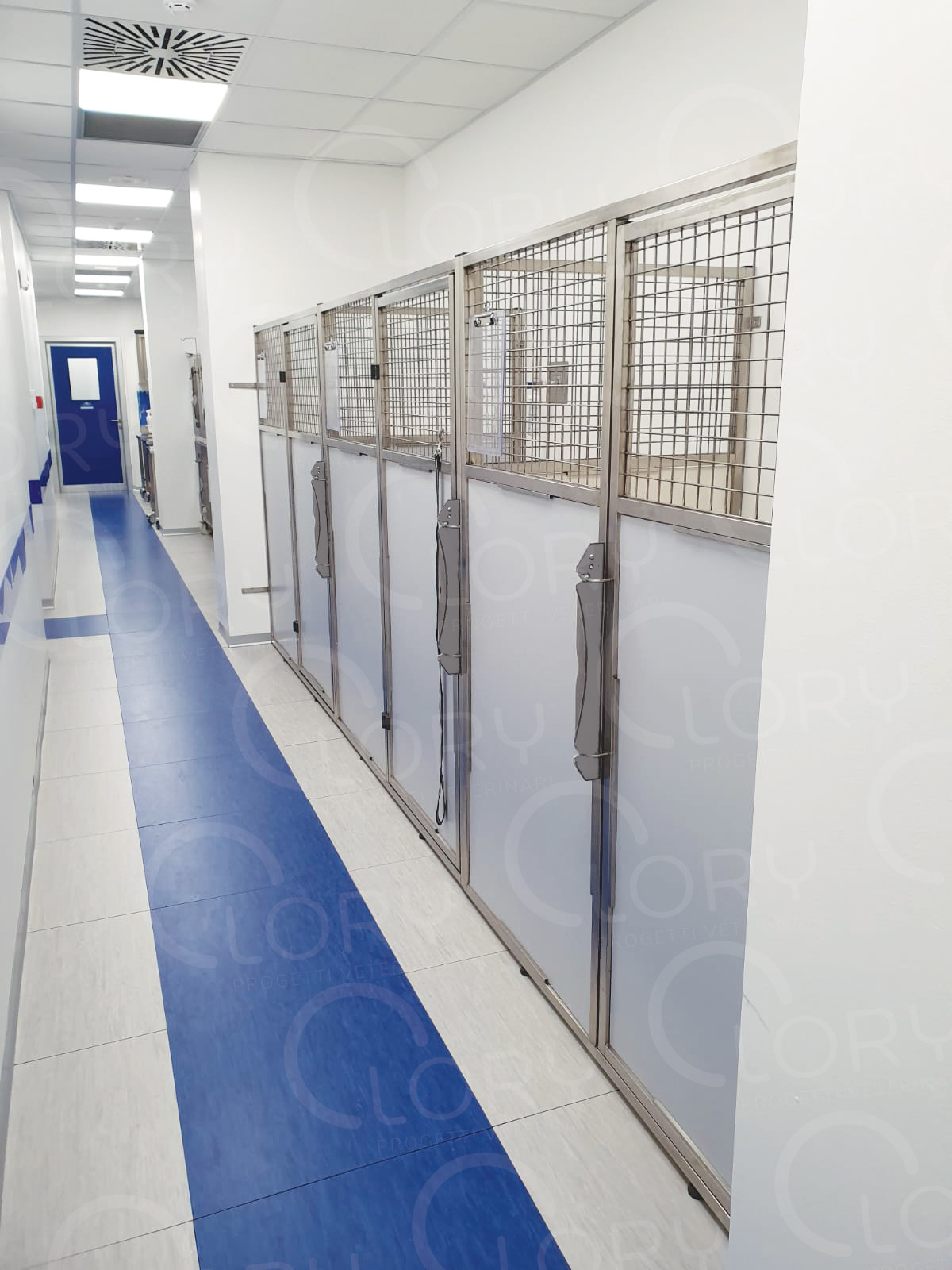 Box Degenza Veterinario Acciaio Inox AISI 304 | Lory Progetti Veterinari
