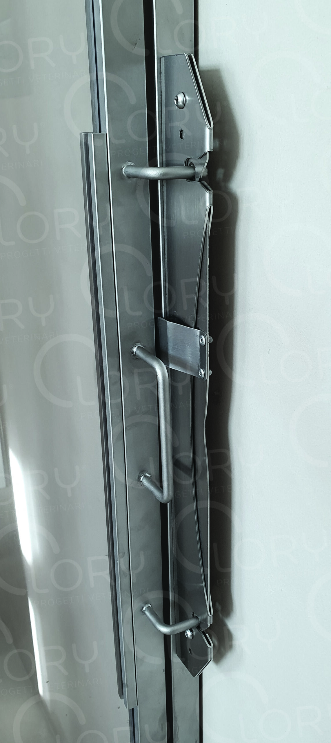 Box degenza veterinario affiancato in acciaio inox AISI 304 - immagine 4