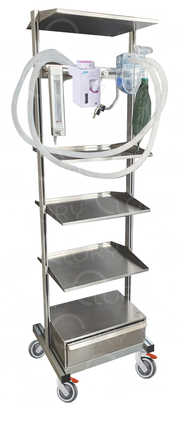 Veterinary Anesthesia System with Isoflurane | Lory Progetti Veterinari