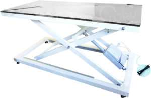 Gamma Model Electric Veterinary Table | Adjustable | Lory Progetti Veterinari