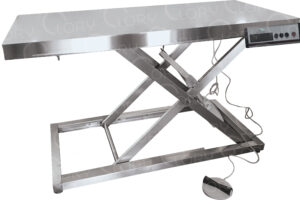 AISI 304 Stainless Steel AISI 304 Mod. Medical Stainless Electric Veterinary Examination Table with Scale