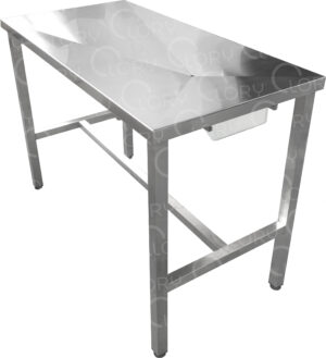 AISI 304 stainless steel fixed veterinary examination table with liquid collection tray mod. Planner Maxi