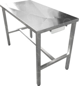 Tavolo da Visita Planner Small Acciaio Inox AISI 304 | Lory Progetti Veterinari