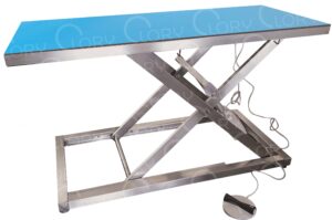AISI 304 stainless steel electric veterinary examination table with radiolucent top mod. Medical Radio