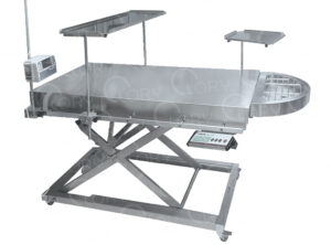 Stainless steel electricveterinary examination table with integrated scale and Trendelenburg mod. Gardavet