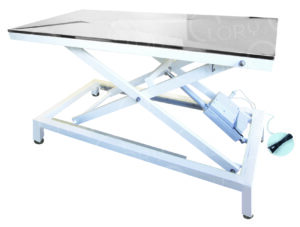 Gamma Model Electric Examination Table on Legs for Veterinary Clinics