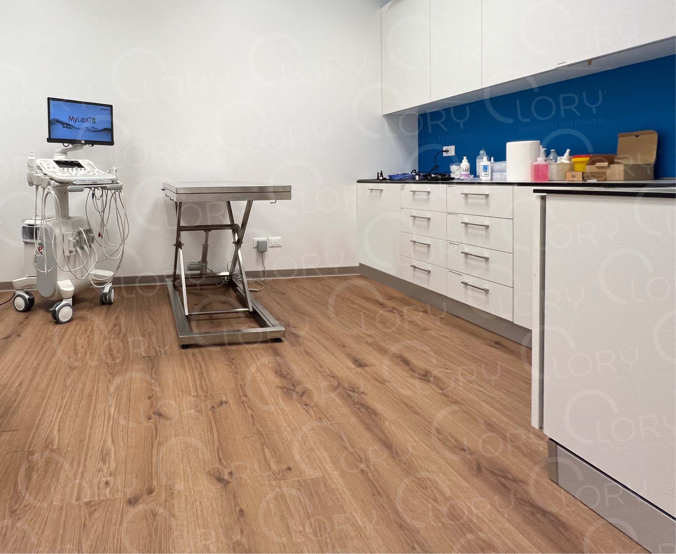 Tavolo elettrico da visita veterinario MEDICAL INOX OPERATORY su ruote con Trendelenburg manuale - immagine 2