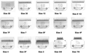 Testine per tosatori