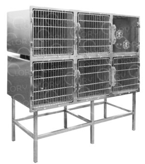 Cage Intensive 6 Places for Veterinary Inpatient | Lory Veterinary Projects