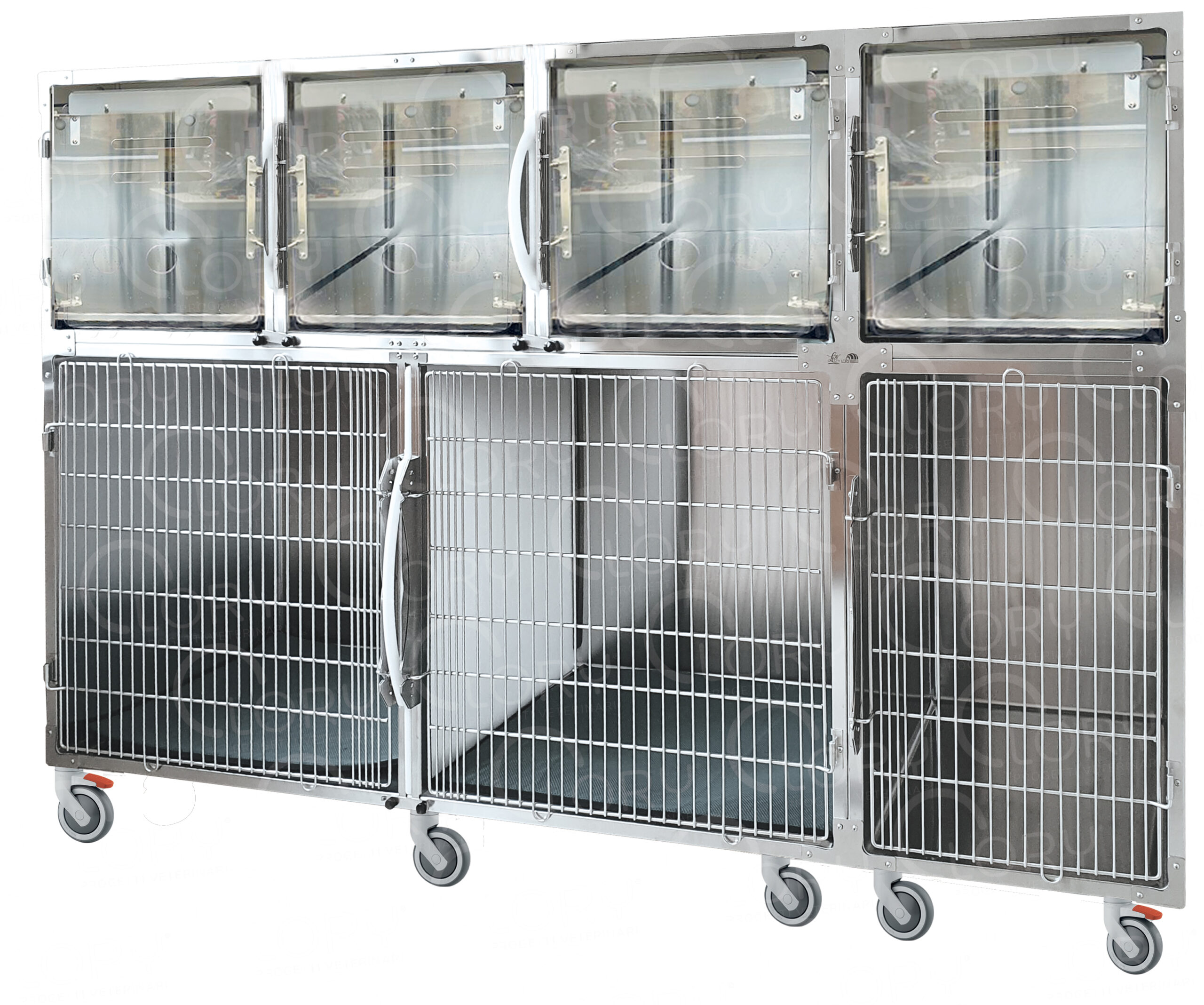 Gabbia Degenza Veterinaria 7 Posti in Acciaio Inox | Lory Progetti Veterinari
