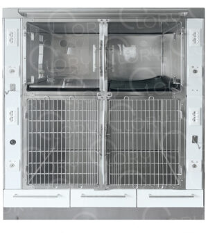 Veterinary Hospital Cage 4 Places with Gas | Lory Veterinary Projects