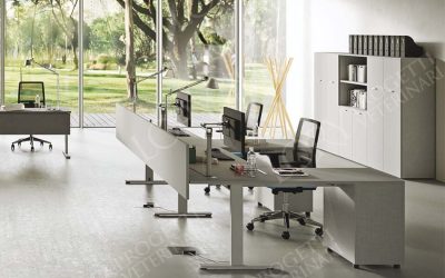 How to furnish a veterinary clinic