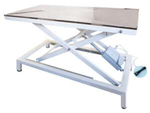 Tavolo mod. Gamma su piedi