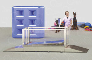 Professional Veterinary Water Treadmill | Lory Veterinary Projects