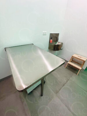Folding Veterinary Examination Table | Space-Saving | Lory Progetti Veterinari