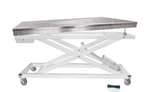 Stainless Steel Electric Veterinary Examination Table with Vertical Movement mod. Gamma Operatory on wheels