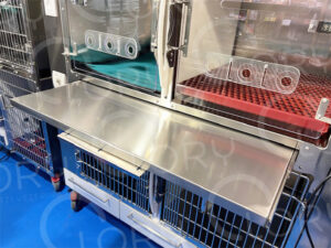 Piano di Supporto per Gabbia Bulgarelli in Acciaio Inox AISI 304 | Lory Progetti Veterinari