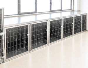 Box degenza veterinario in acciaio inox AISI 304 con divisorio e porta in rete 150x150 cm