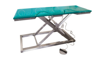 Electric Echocardiography Table Without Wheels | AISI 304 Stainless Steel | Lory Progetti Veterinari