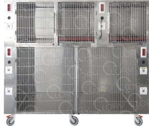 Veterinary Inpatient Cage 5 Places with Oxygen | Lory Veterinary Projects