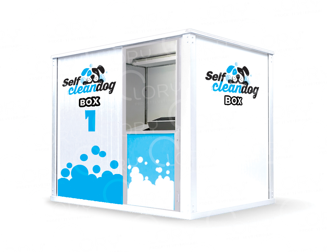 Self-service washing box