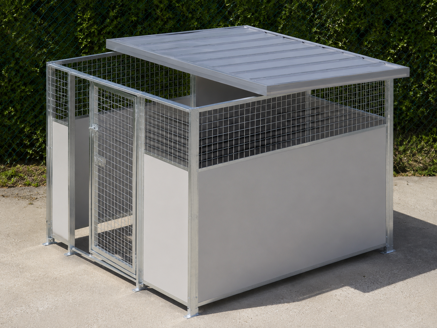 WHOLE DOG BOX HALF COVERED