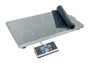 Floor scales