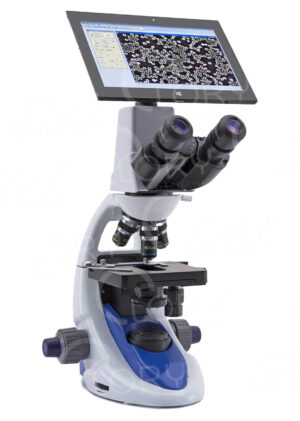 Binocular microscope
