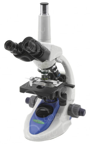Trinocular microscope