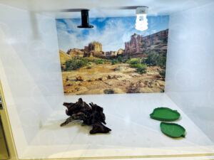 Accessorio lampada uv  e riscaldante