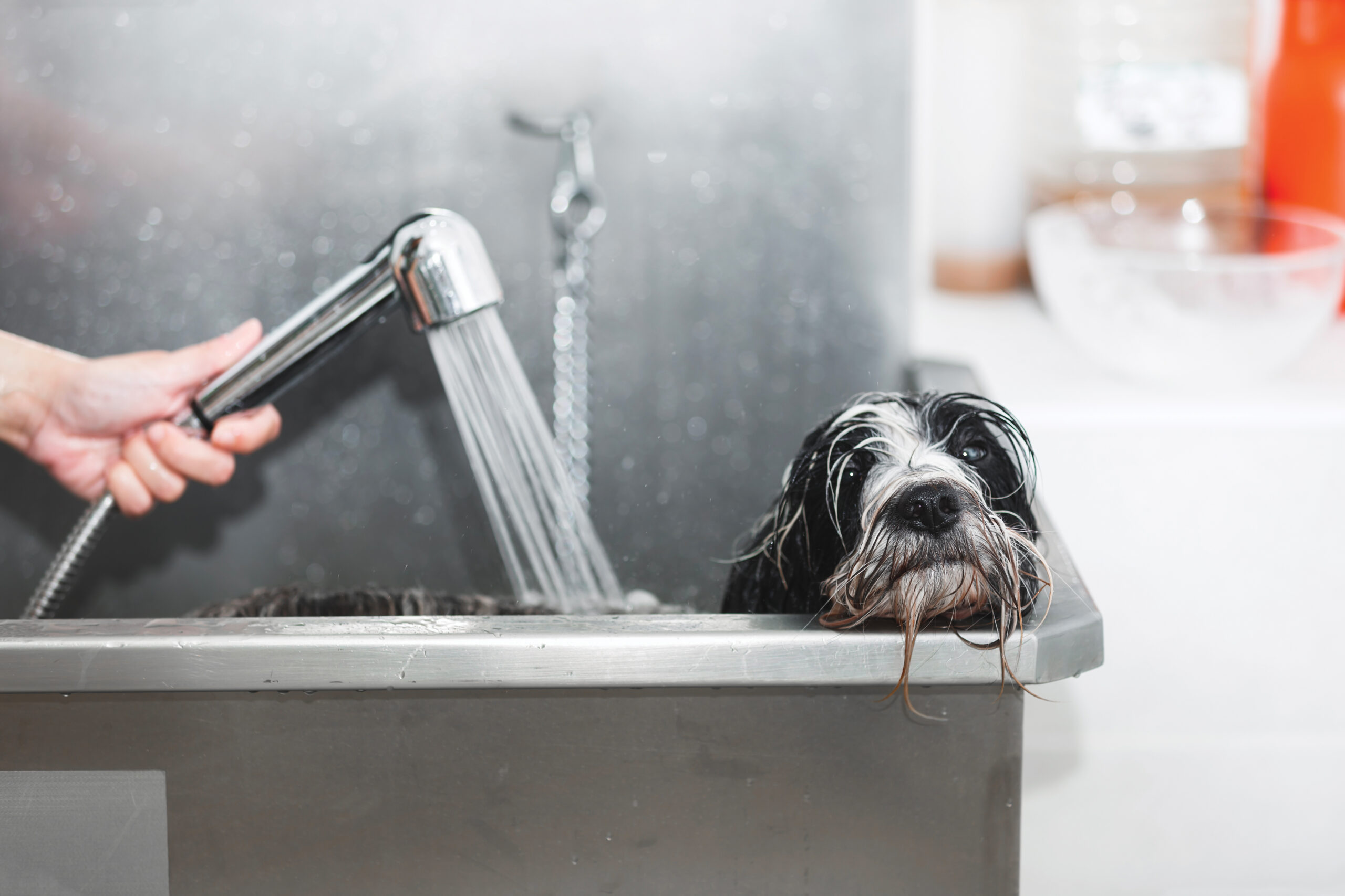 Grooming tubs
