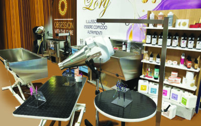 Master Show 2026