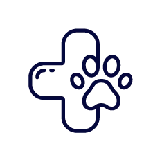 Veterinaria