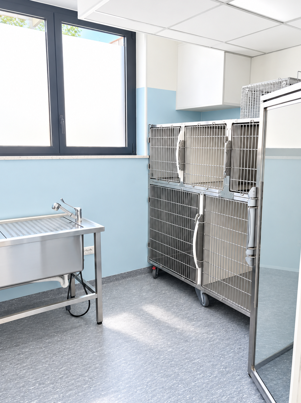 Standard cages