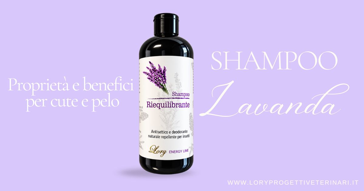 Shampoo alla Lavanda per Cani | Shampoo Riequilibrante | Lory Progetti Veterinari